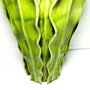 Vaso Cerâmica Folhas Espada de Adão Verde M 30cm