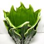 Vaso Cerâmica Folhas Espada de Adão Verde M 30cm